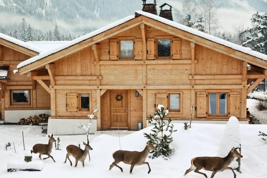 chalet-arolles.html